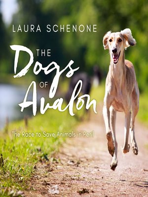 The Dogs of Avalon - Audiobook